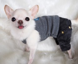 画像5: 迷彩パンツ