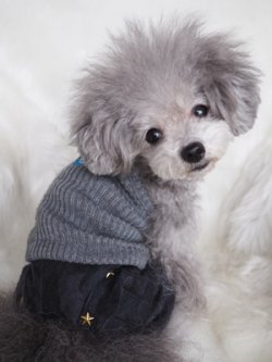 画像2: 迷彩パンツ