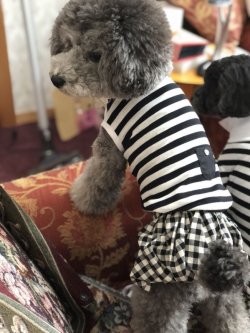 画像3: チェックバルーンスカート