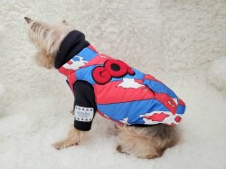 画像5: GoGoベスト