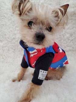 画像4: GoGoベスト