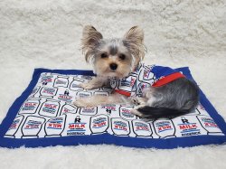 画像7: MILKプルオーバー