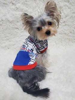 画像2: MILKプルオーバー