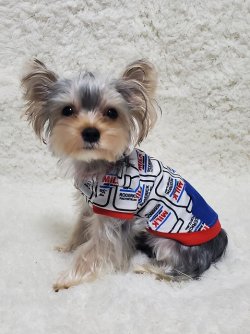 画像3: MILKプルオーバー