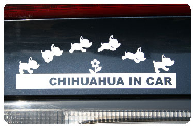 画像: Chiwawa in Car